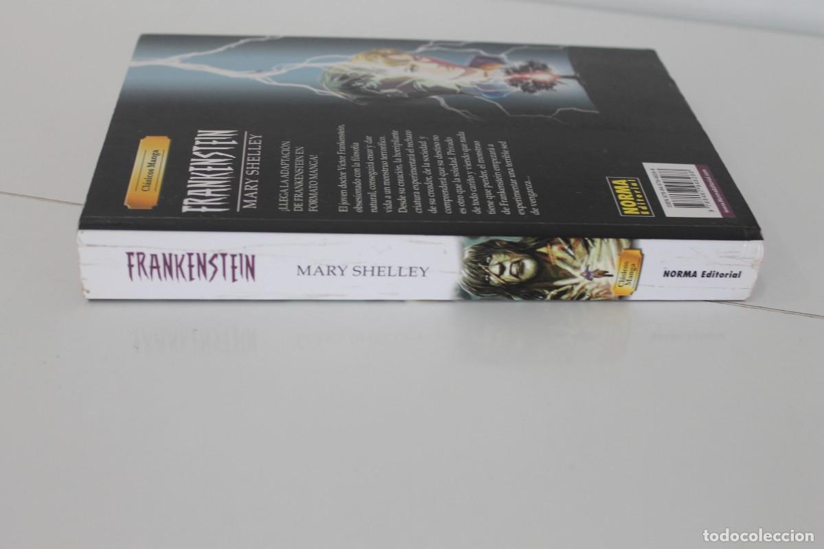 C&oacute;mics: FRANKENSTEIN MARY SHELLEY NORMA EDITORIAL - Foto 3