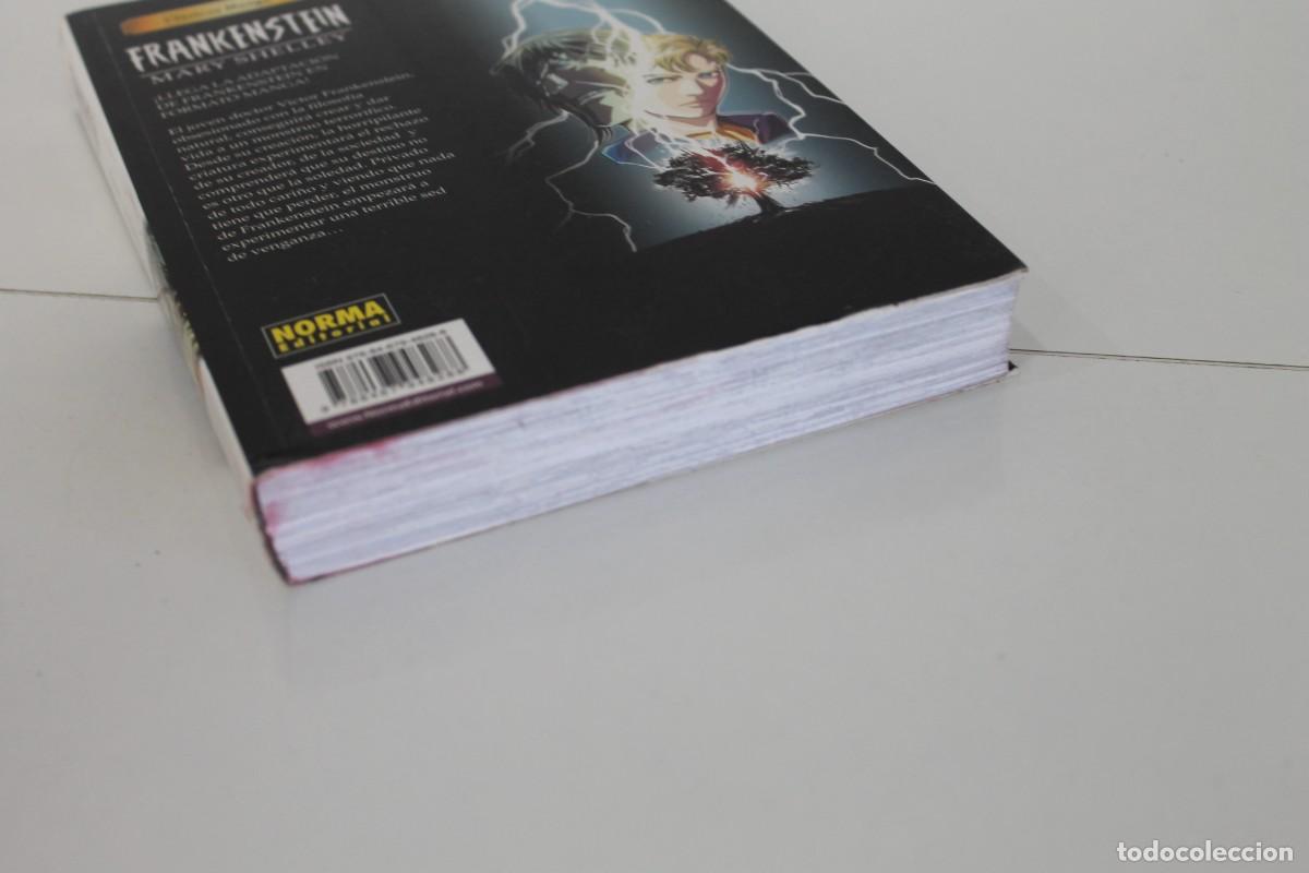 C&oacute;mics: FRANKENSTEIN MARY SHELLEY NORMA EDITORIAL - Foto 4