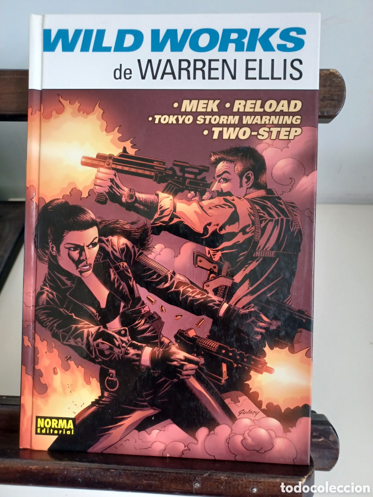 C&oacute;mics: Wild Works de Warren Ellis/ Norma/ Descatalogado/ NUEVO A ESTRENAR