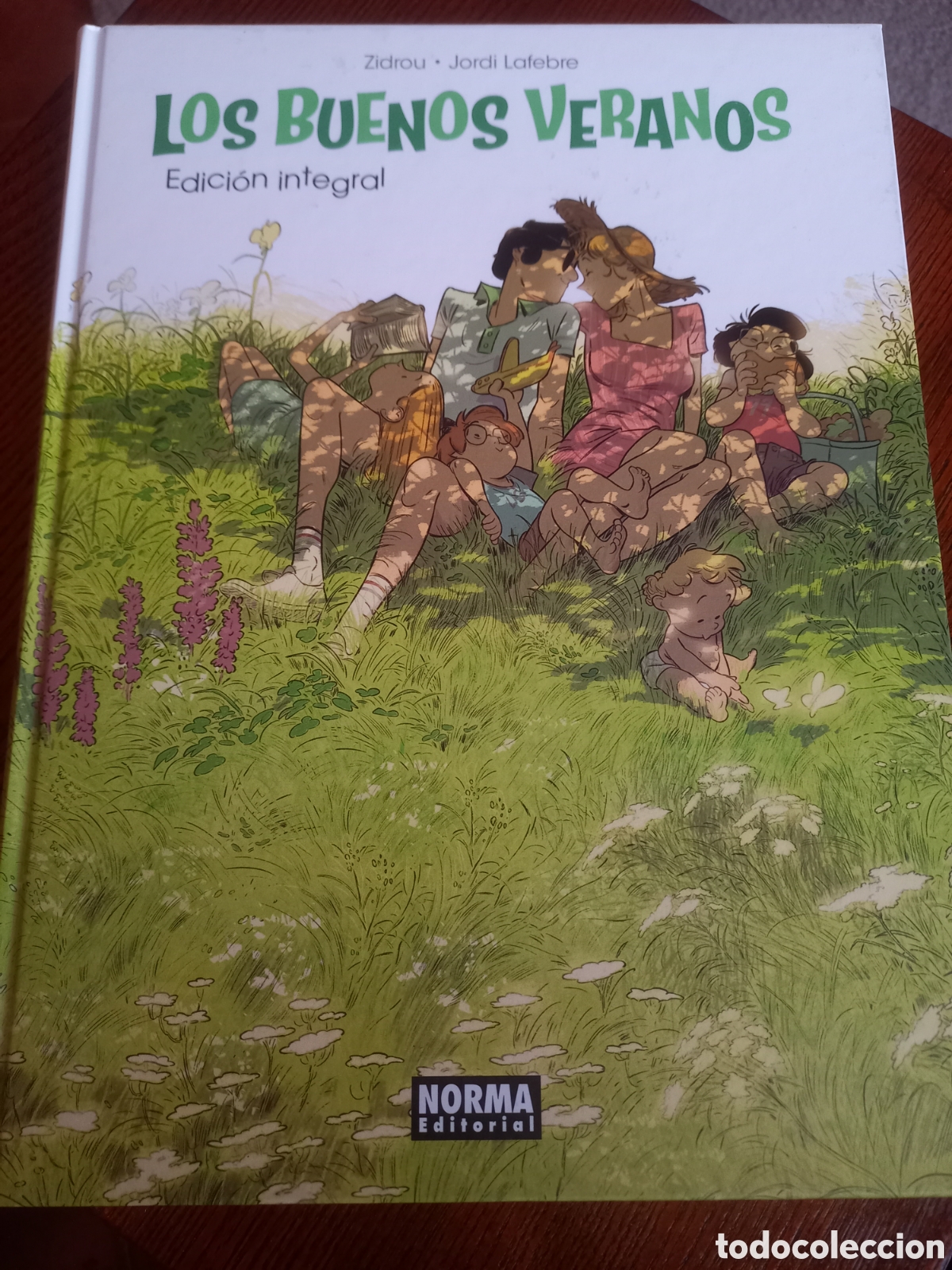C&oacute;mics: Los buenos veranos Edici&oacute;n Integral Norma 2024 Zidrou - Jordi Lafebre Tapa dura