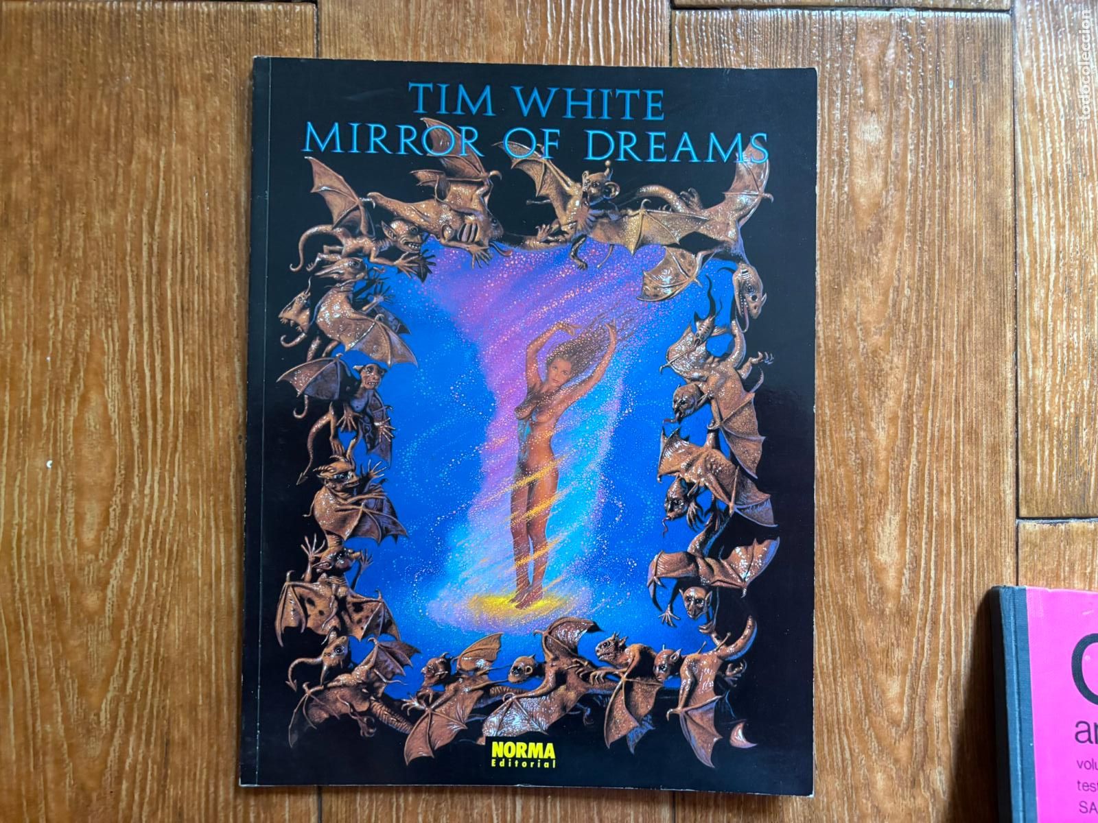 C&oacute;mics: TIM WHITE MIRROR OF DREAMS EDITORIAL NORMA - Foto 1