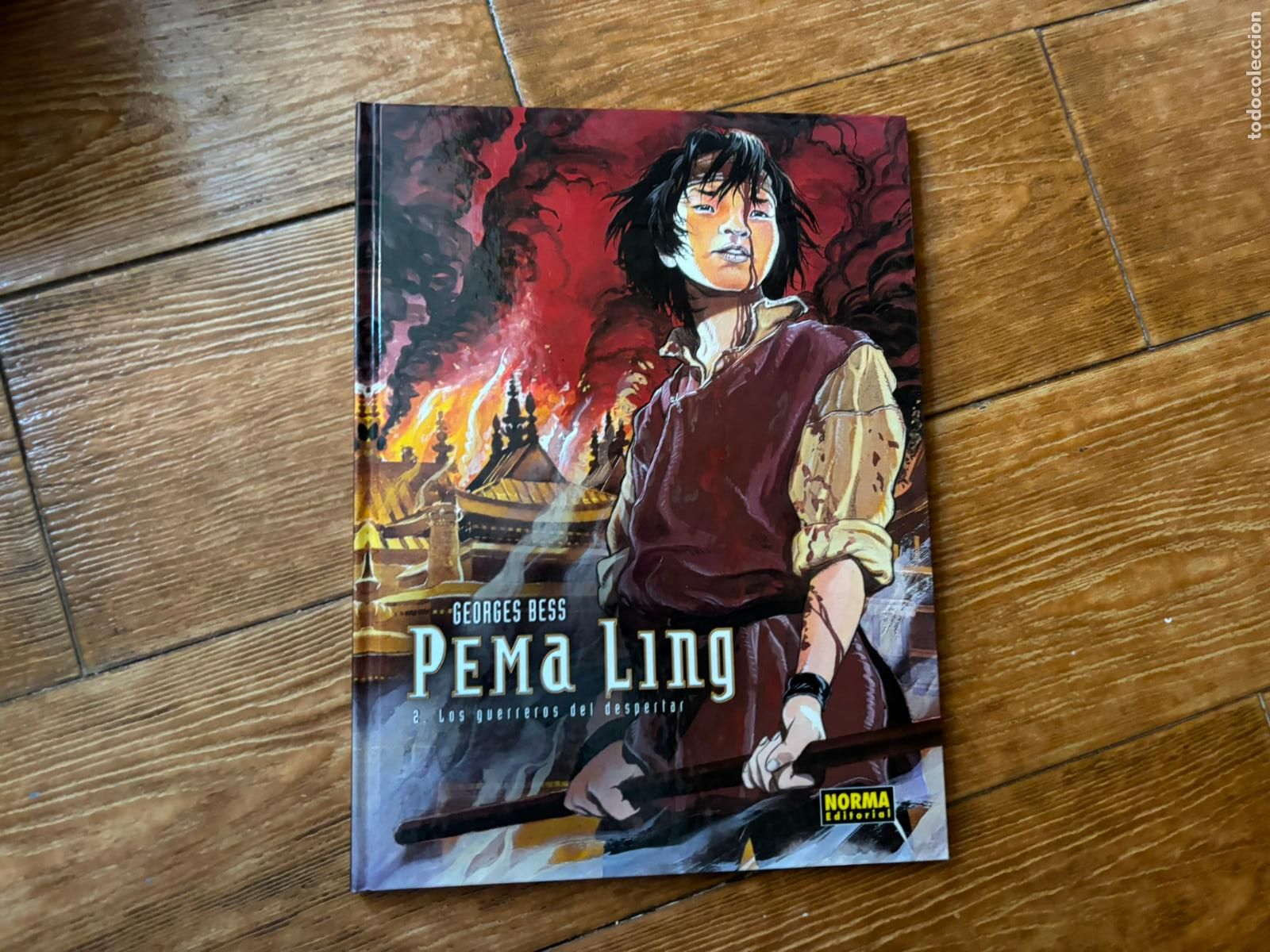 C&oacute;mics: PEMA LING N&ordm; 2 LOS GUERREROS DEL DESPERTAR - EDITORIAL NORMA