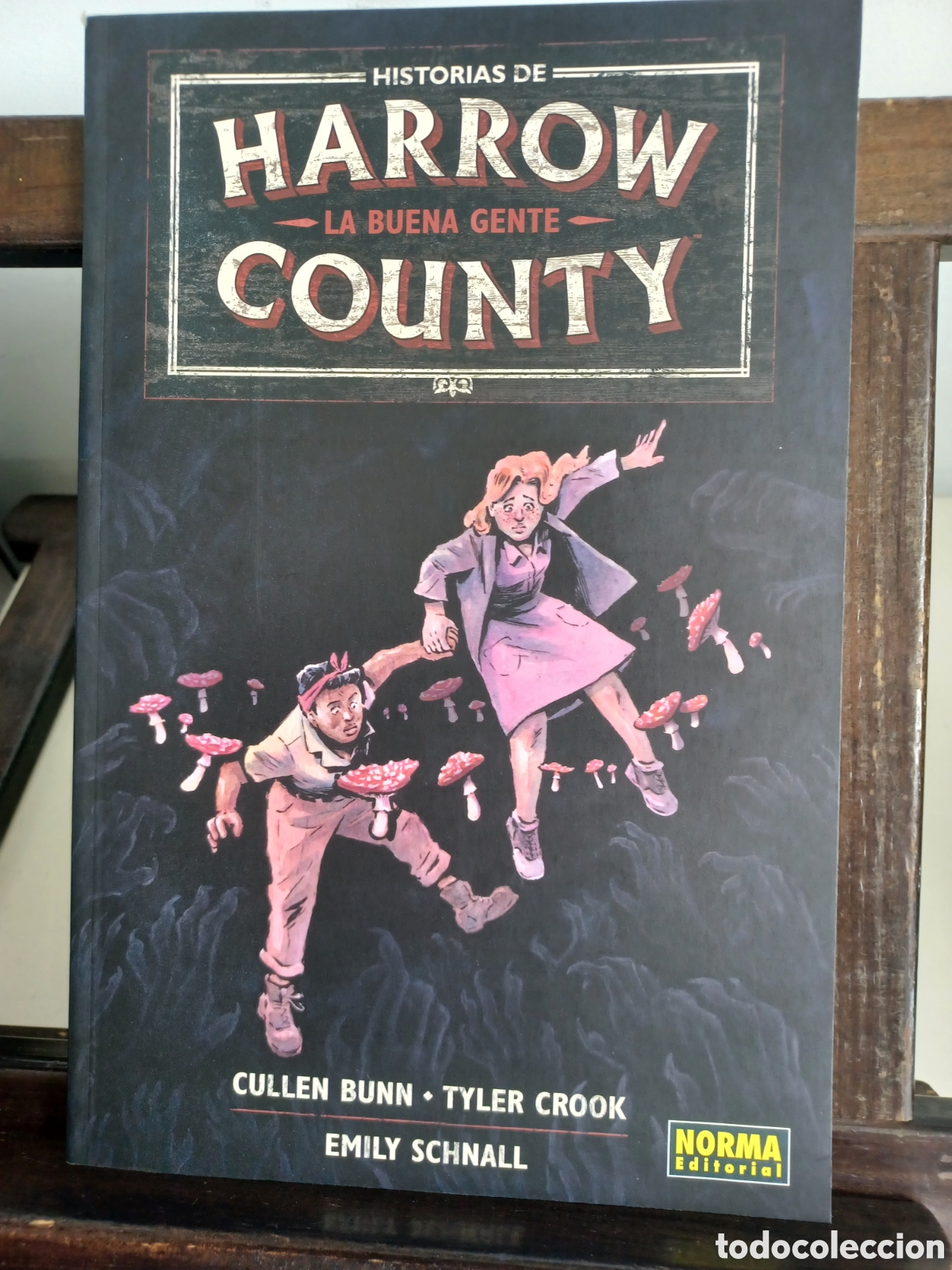 C&oacute;mics: Historias de Harrow County 2 La buena gente/ Norma/ NUEVO A ESTRENAR
