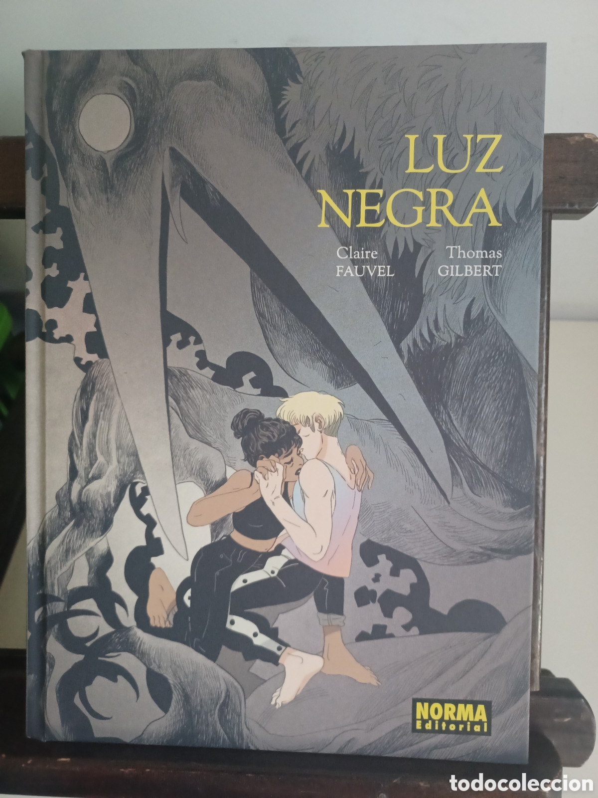 C&oacute;mics: Luz negra/ Claire Fauvel & Thomas Gilbert/ Norma/ NUEVO A ESTRENAR