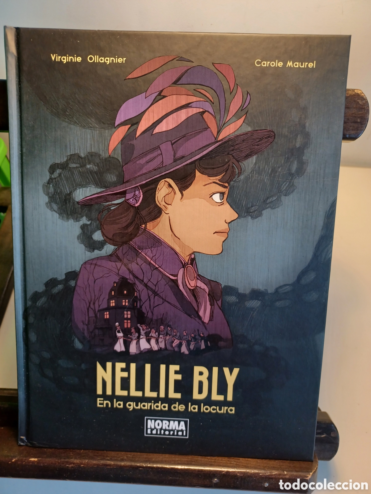 C&oacute;mics: Nelly Bly. En la guarda de la locura/ Norma/ Excelente estado