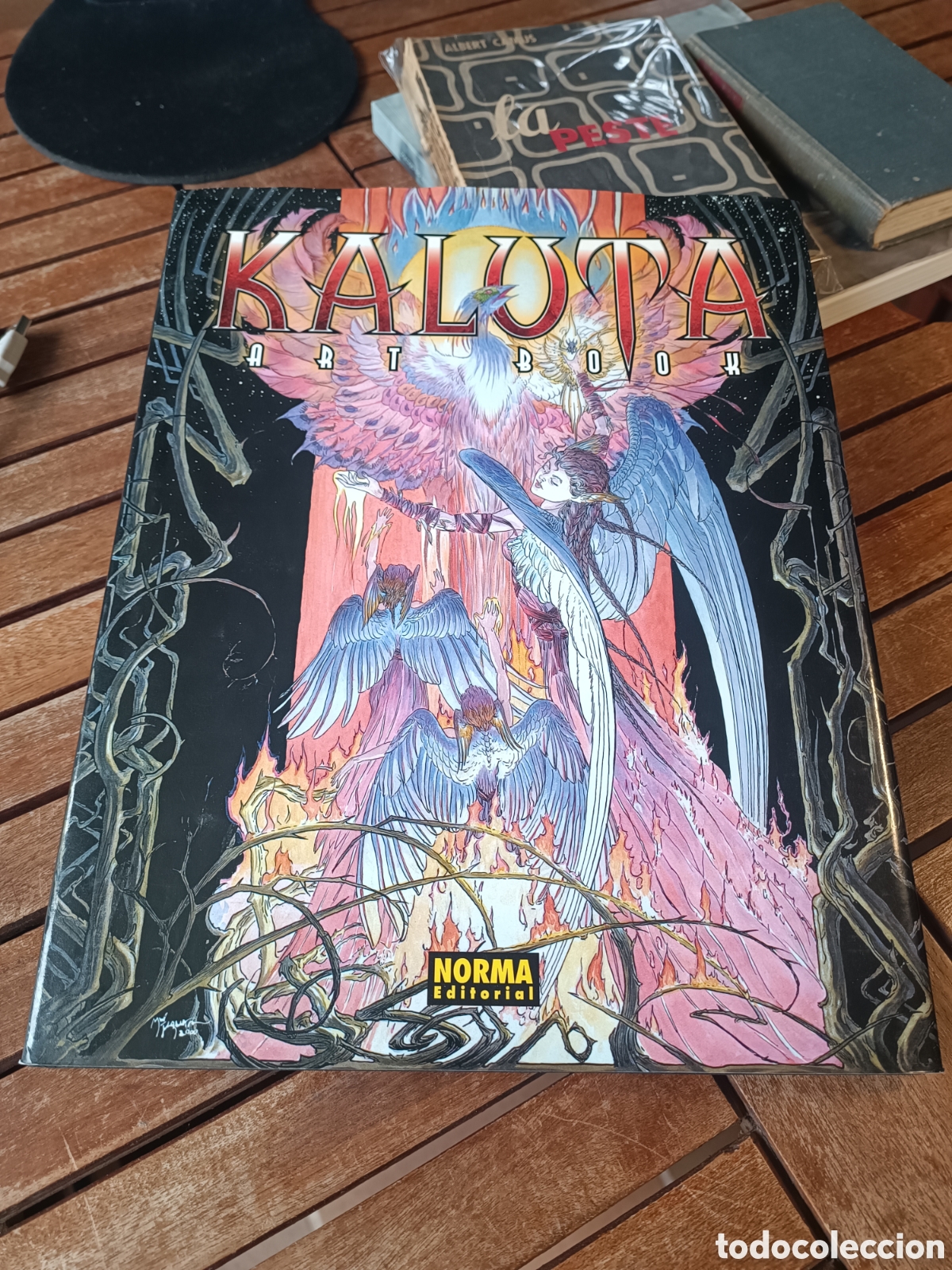C&oacute;mics: Kaluta Art Book - Michael Kaluta - NORMA Editorial 2001 primera edici&oacute;n