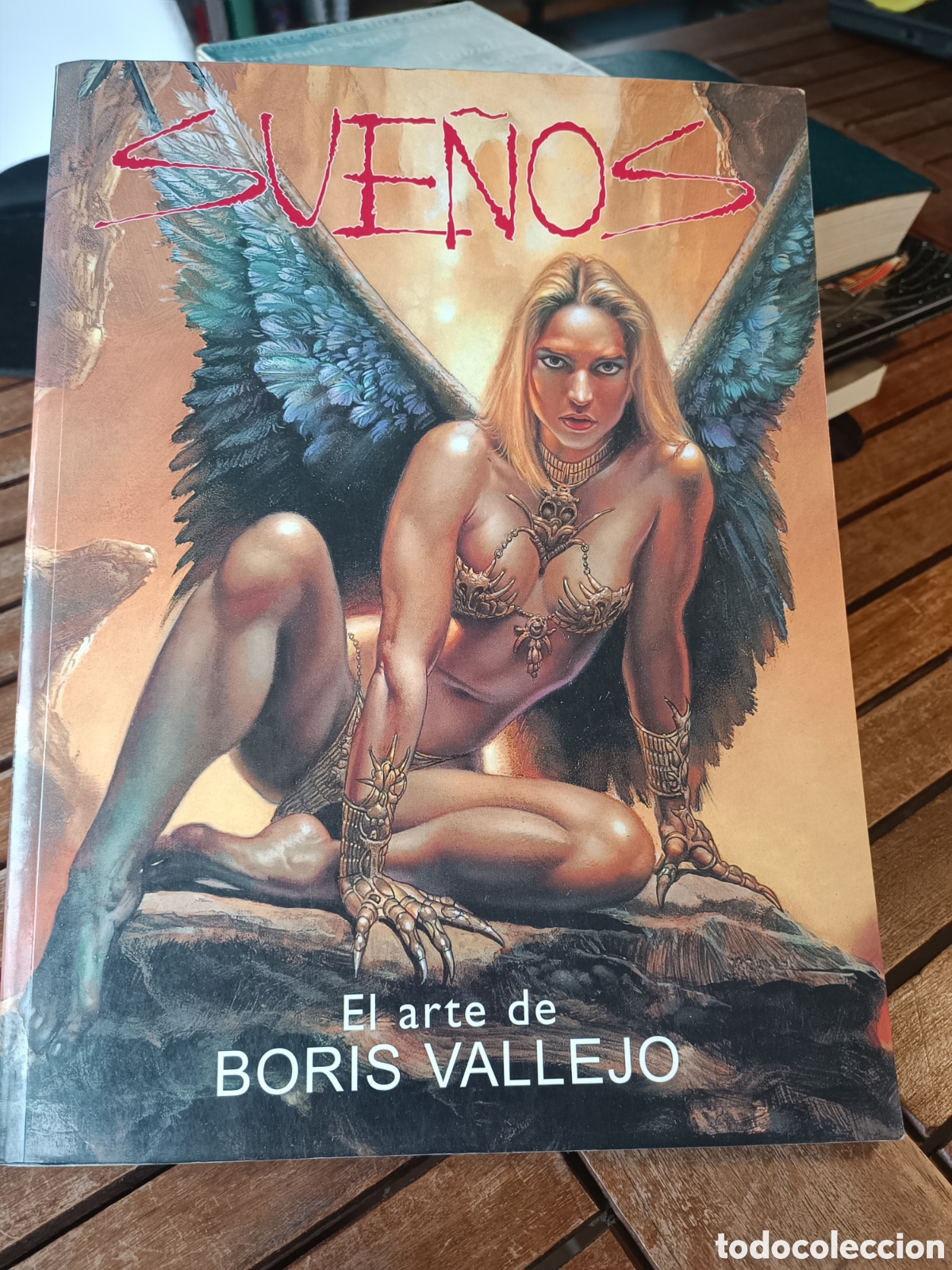 C&oacute;mics: Sue&ntilde;os: el arte de Boris Vallejo, 2002, Norma comic