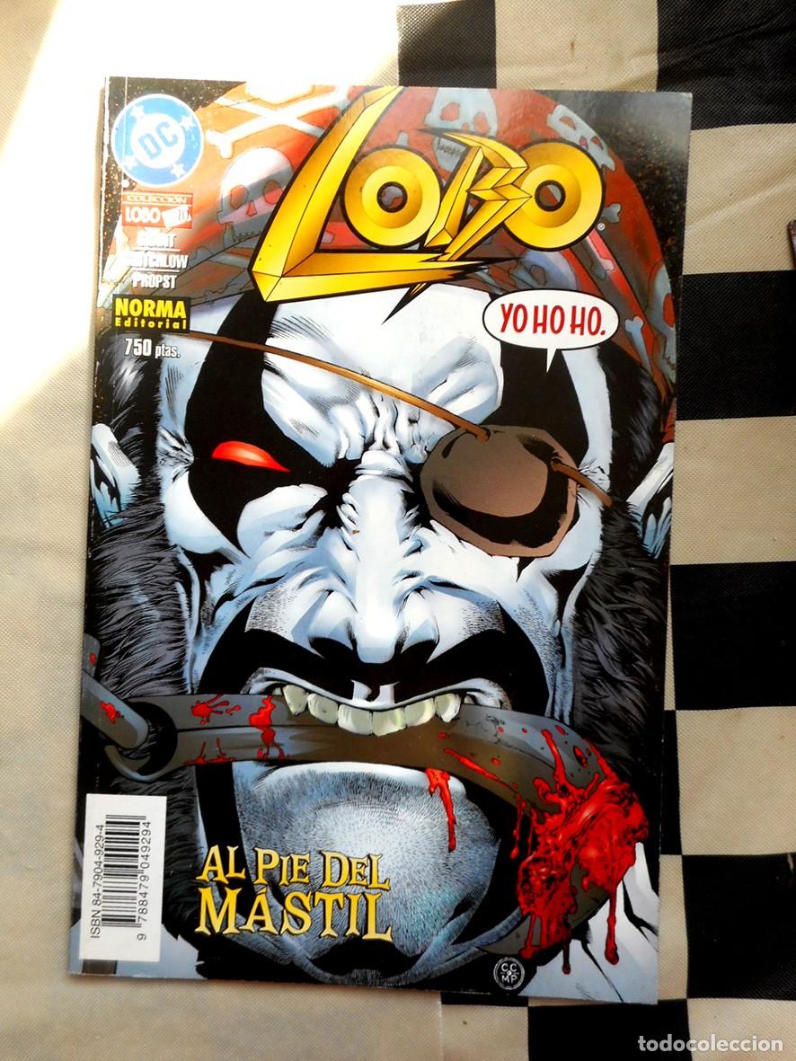 C&oacute;mics: LOBO N&ordm;10 AL PIE DEL M&Aacute;STIL (NORMA-FEBRERO 1999) ALAN GRANT - CARL CRITCHLOW
