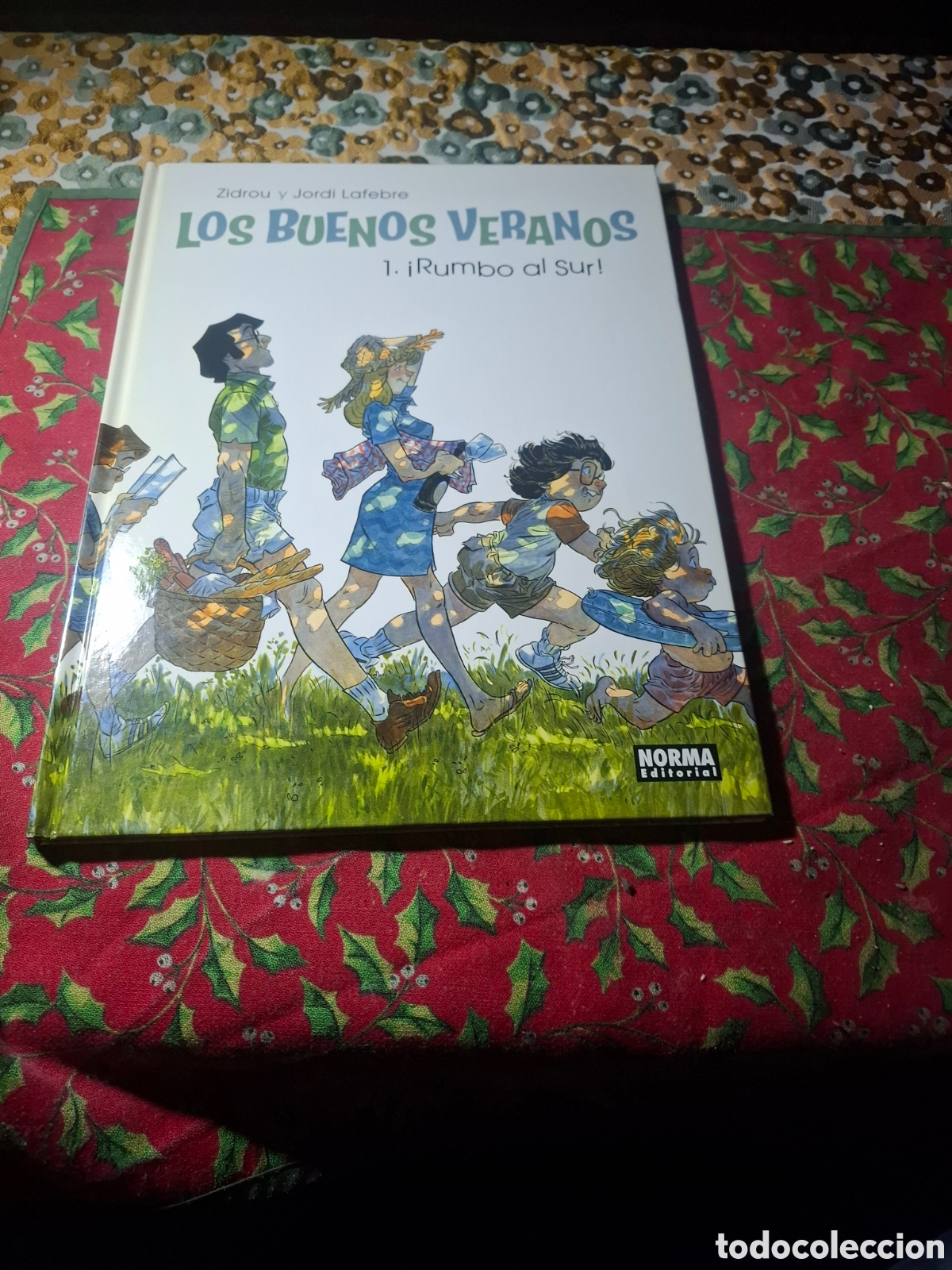 C&oacute;mics: Los Buenos Veranos vol 1. Rumbo al sur Zidrou Lafebre