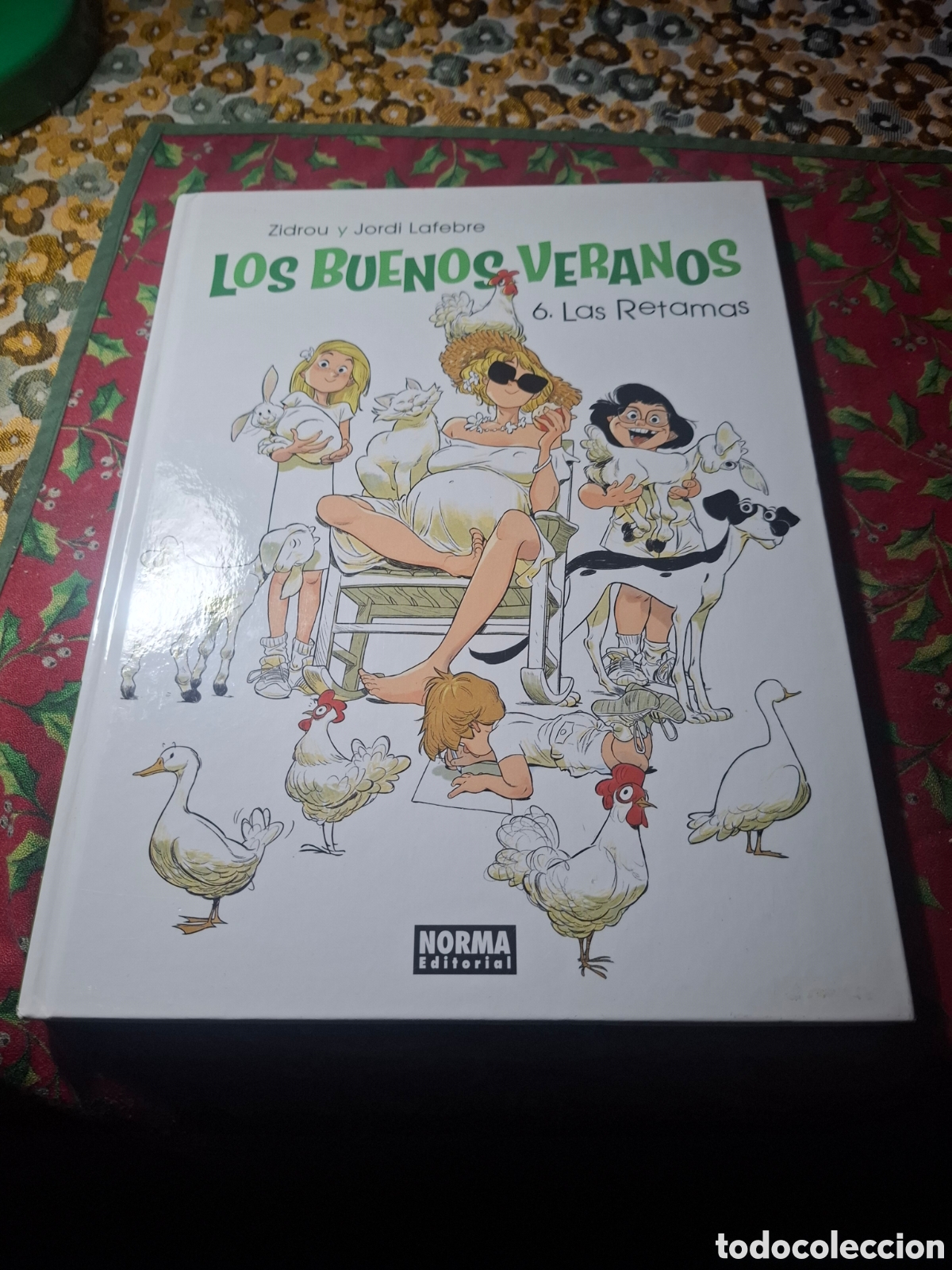 C&oacute;mics: Los Buenos Veranos 6. Las Retamas. Zidrou y Lafebre