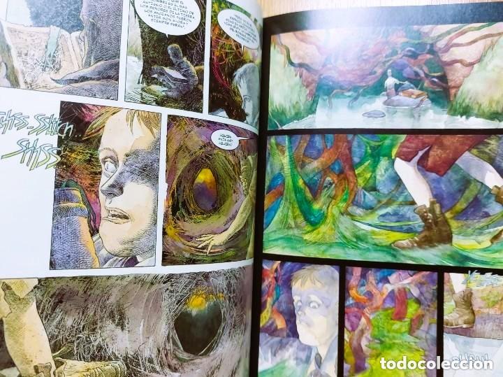 C&oacute;mics: LOVECRAFT (Norma) - Colecci&oacute;n V&eacute;rtigo - Foto 4