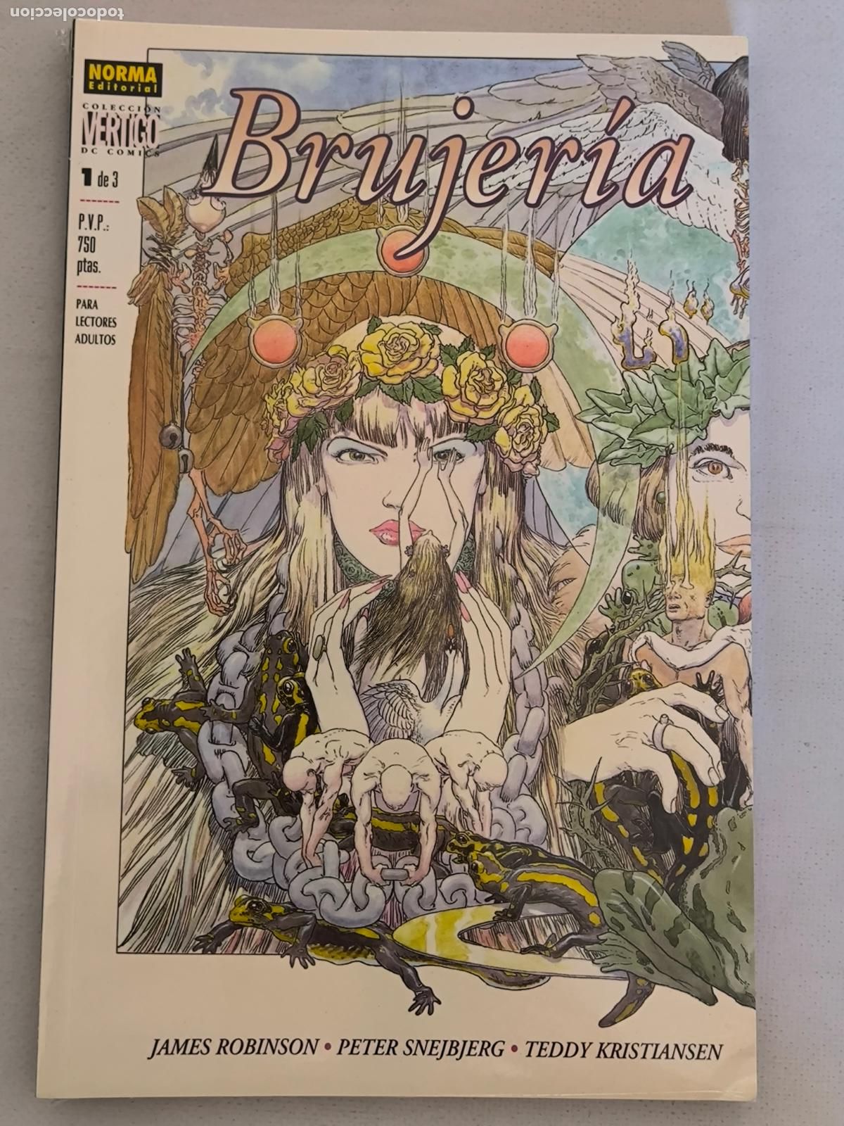 C&oacute;mics: BRUJERIA COMPLETA N&ordm; 1, 2 Y 3 - VERTIGO N&ordm; 88, 94 Y 98 - NORMA - NUEVO, PRECINTADO (IJw)