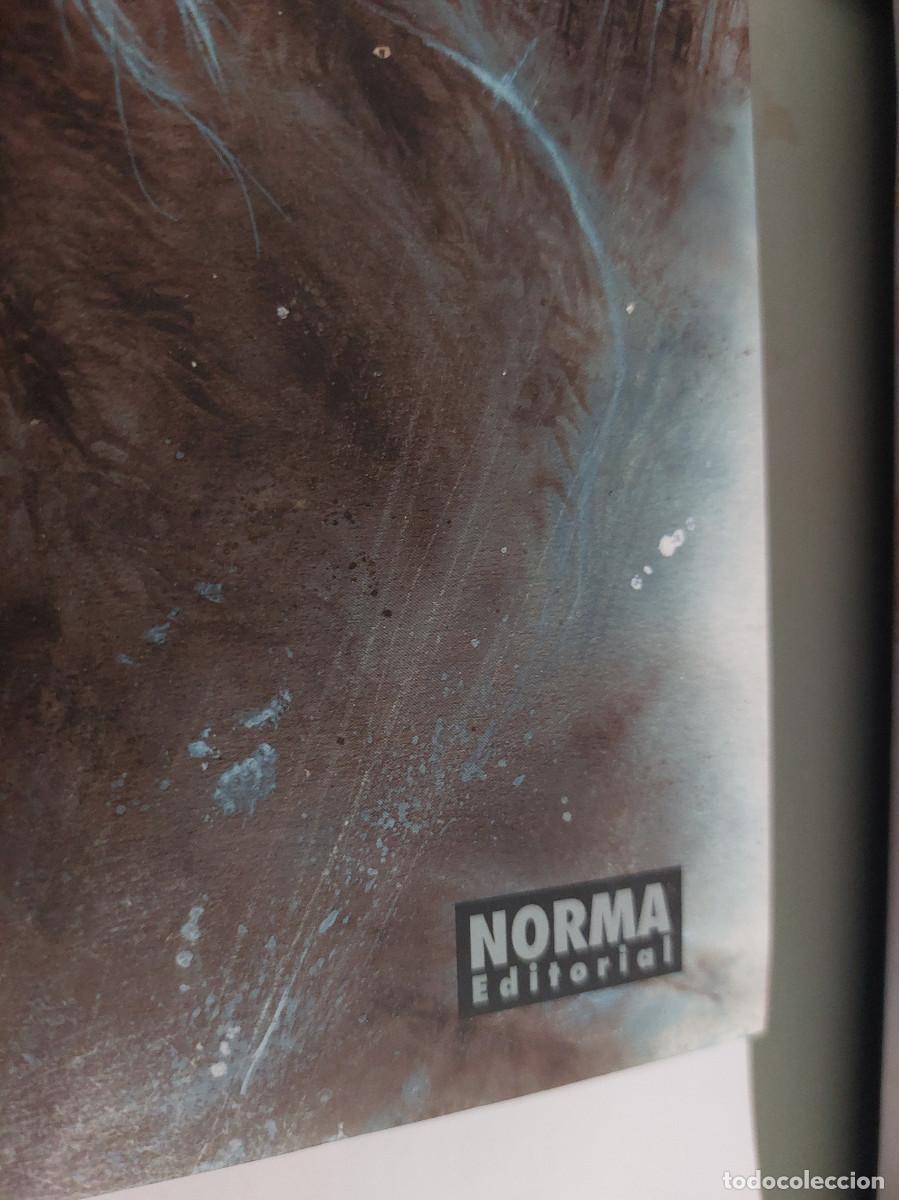 C&oacute;mics: Apocalypse. Luis Royo. Romulo Royo. Con CD y posters. Buen estado e2 a - Foto 3