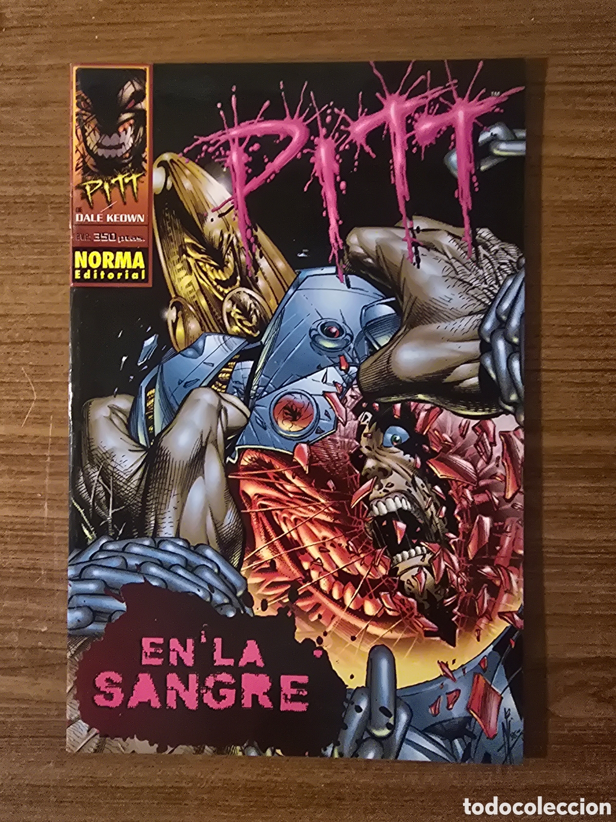 C&oacute;mics: PITT,EN LA SANGRE,(NORMA EDITORIAL)