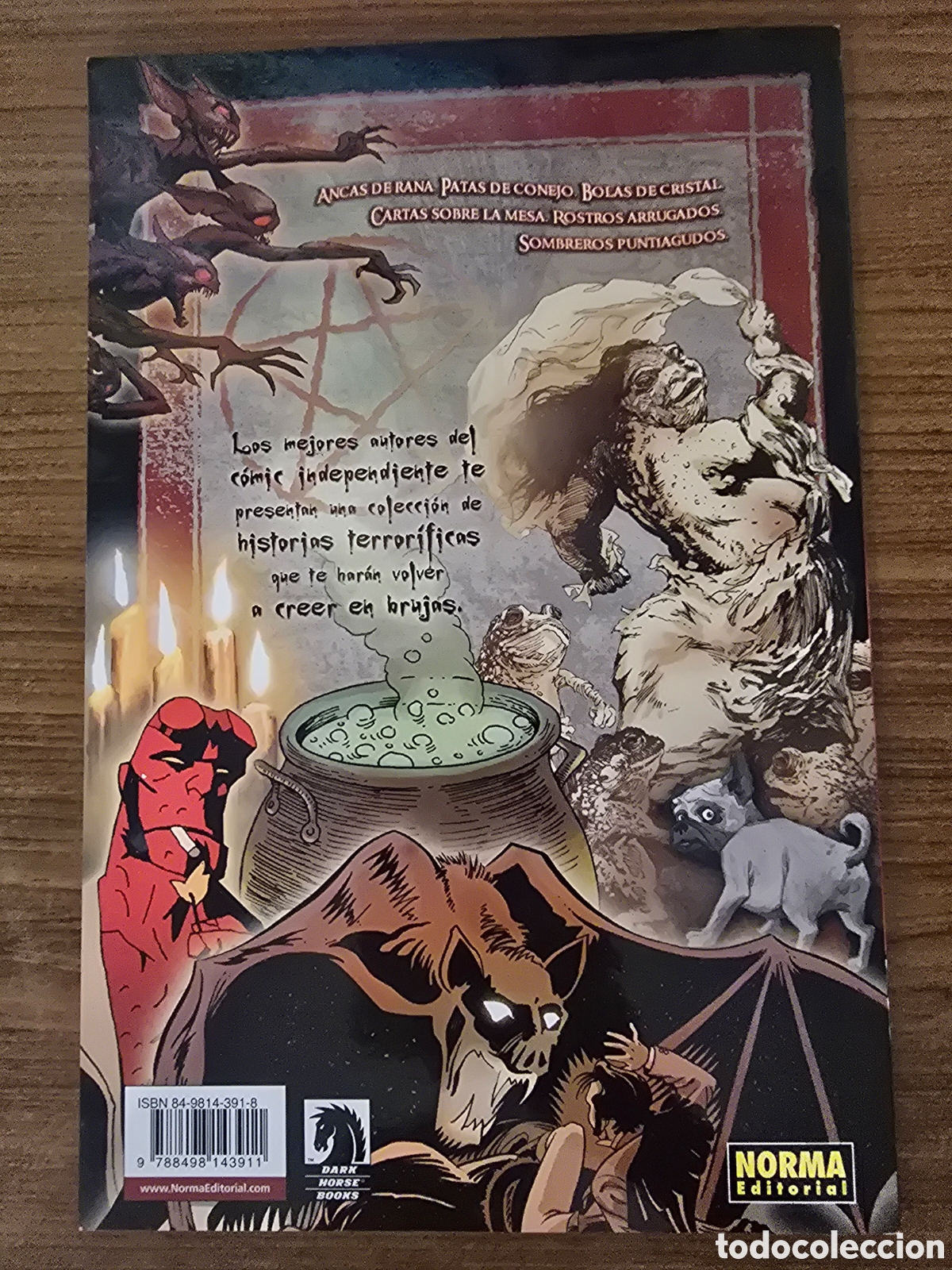 C&oacute;mics: EL LIBRO DE LAS BRUJAS,NUMERO 11,(NORMA EDITORIAL) - Foto 2