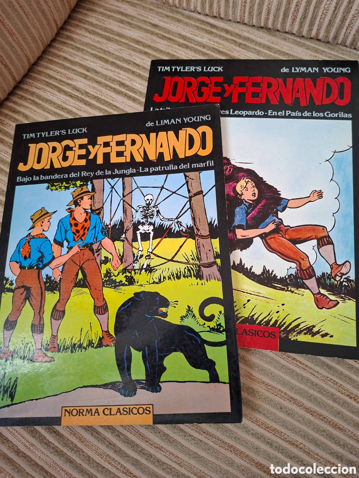 C&oacute;mics: JORGE Y FERNANDO, N&deg;s 1 y 4