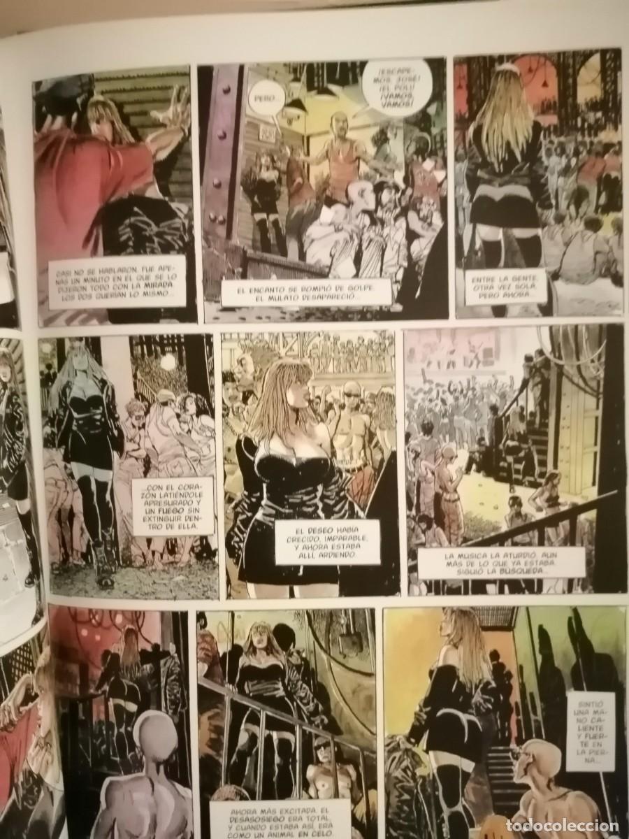 C&oacute;mics: GATO. Horacio Altuna. - Foto 6