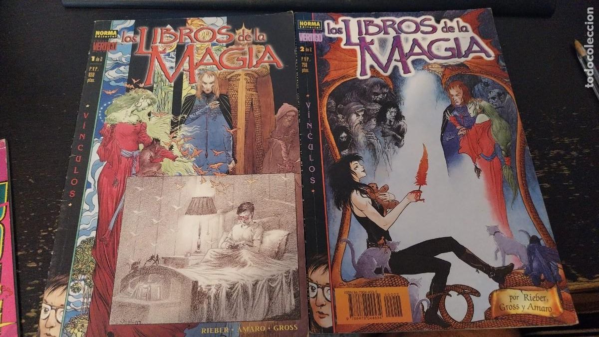 C&oacute;mics: LOS LIBROS DE LA MAGIA VINCULOS COMPLETA 2 TOMOS - COL. VERTIGO 13 Y 17 NORMA BUEN ESTADO RX377