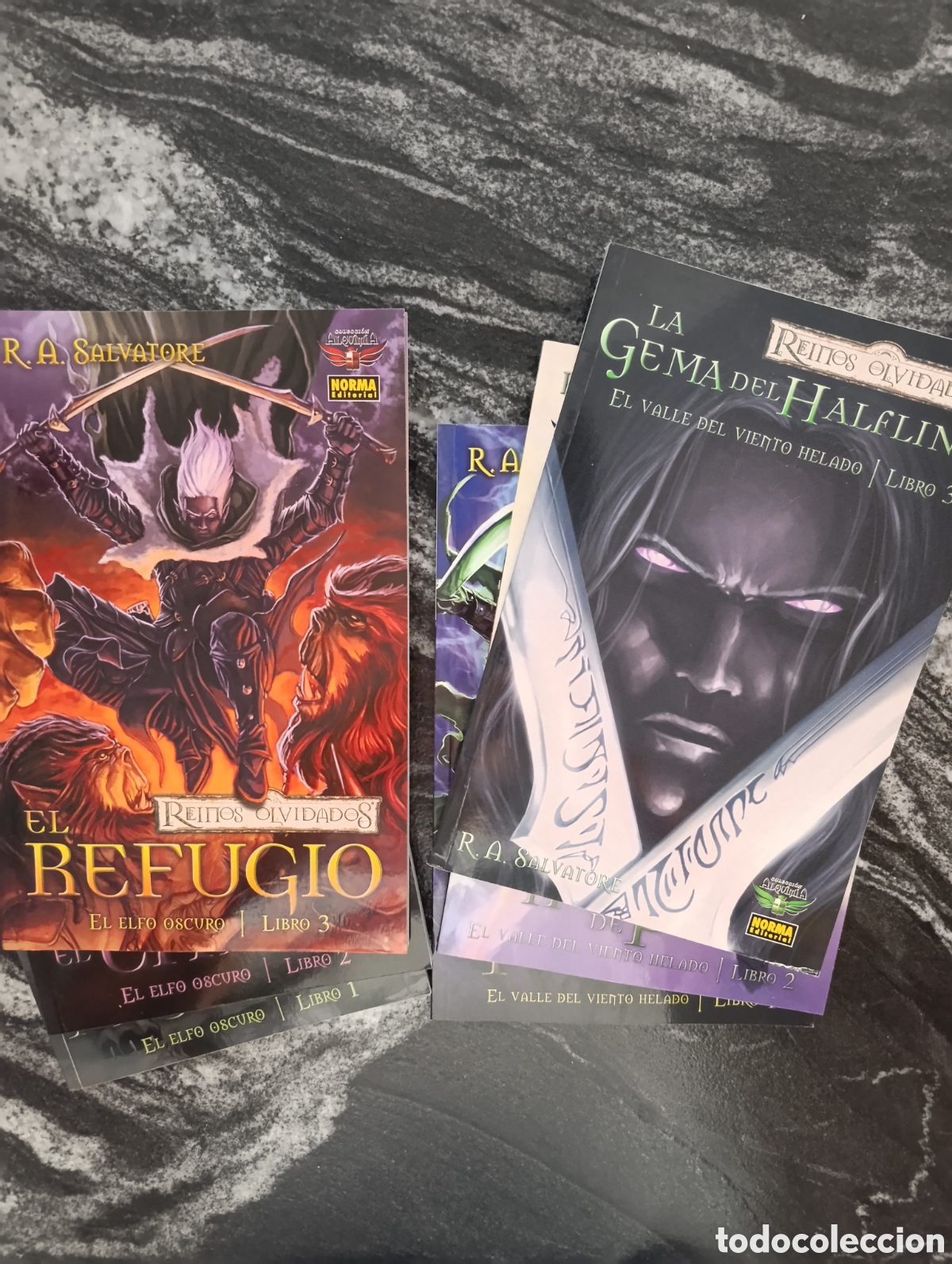 C&oacute;mics: REINOS OLVIDADOS. EL ELFO OSCURO Y EL VALLE DEL VIENTO HELADO. VER DETALLES Y PRECIOS