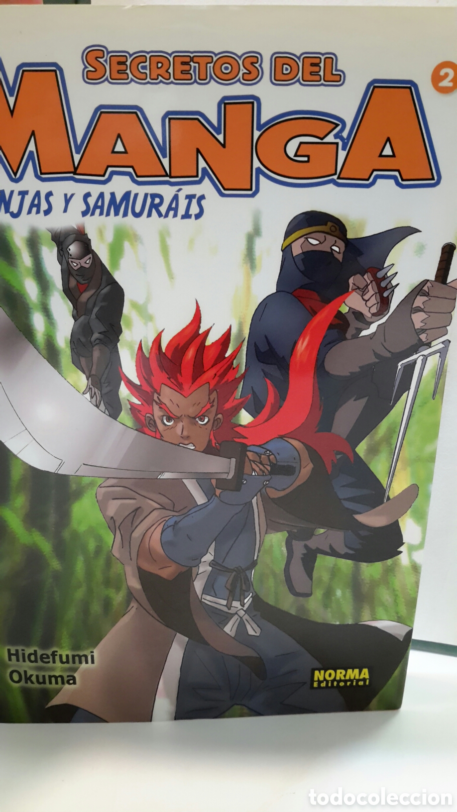 Fumetti: Hidefumi Okuma. Secretos de Manga, 2 Ninjas y Samur&aacute;is