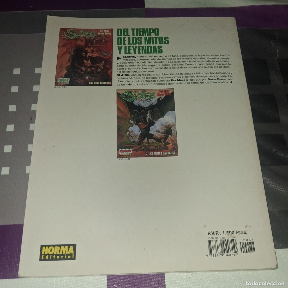 C&oacute;mics: Slaine. Las armas sagradas - Foto 2