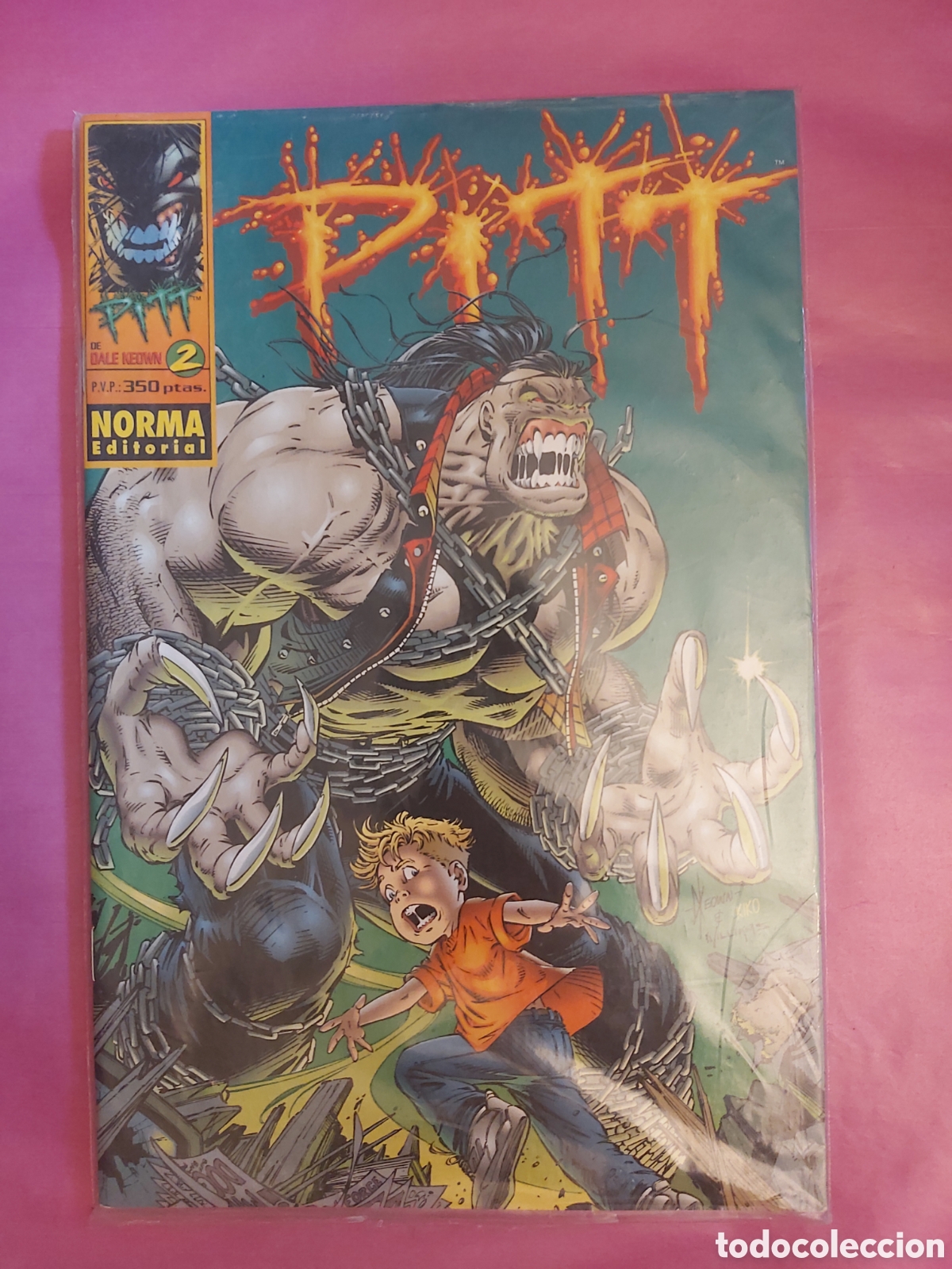 C&oacute;mics: PITT 2 DALE KEOWN NORMA EDITORIAL ISBN 8479046058 PRECINTADO