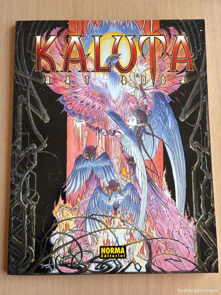 C&oacute;mics: Kaluta art book estado muy bueno