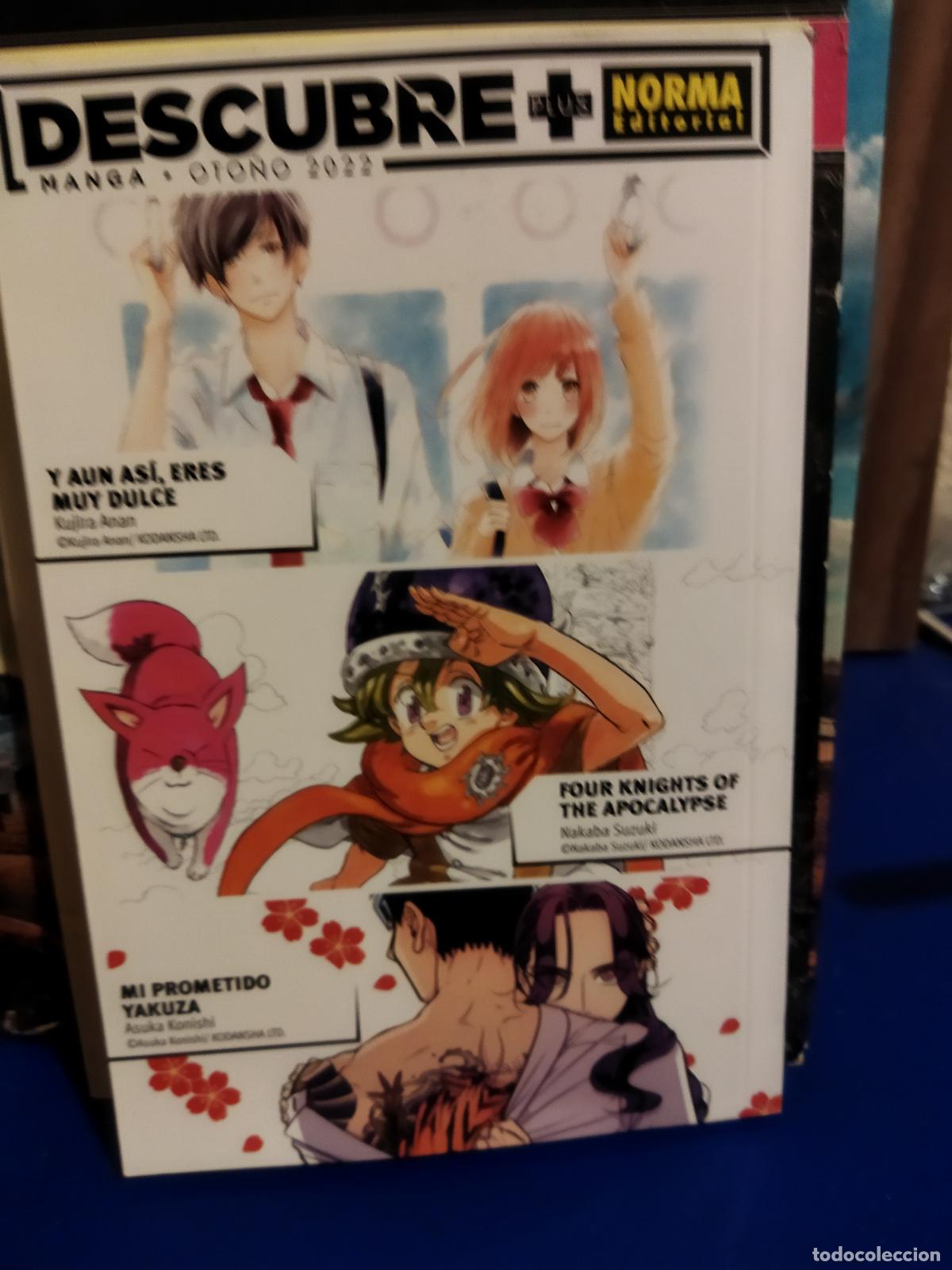 C&oacute;mics: Descubre plus norma editorial manga oto&ntilde;o 2022