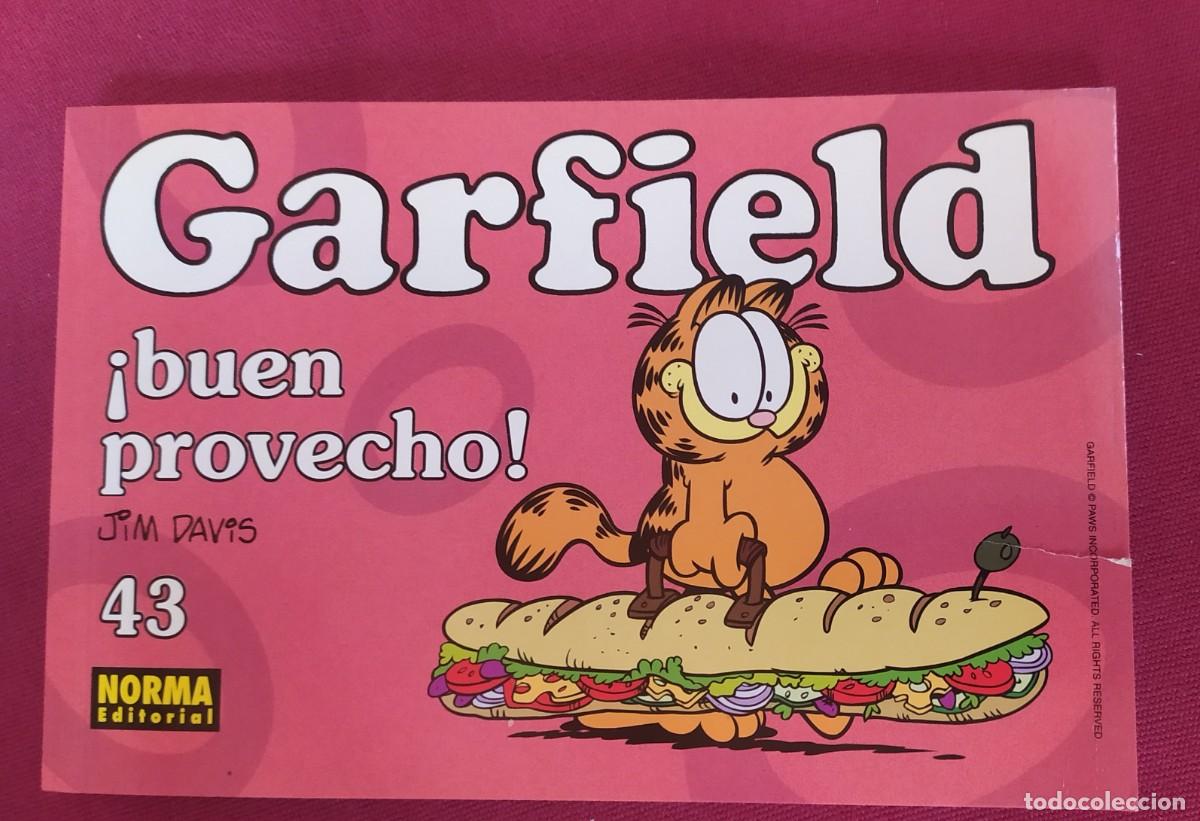 C&oacute;mics: Garfield . &iexcl;Buen provecho! Jim Davis. N&ordm; 43 Norma editorial