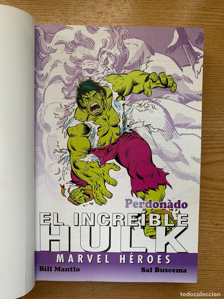 C&oacute;mics: El Incre&iacute;ble Hulk: Perdonado - Marvel H&eacute;roes - Foto 7