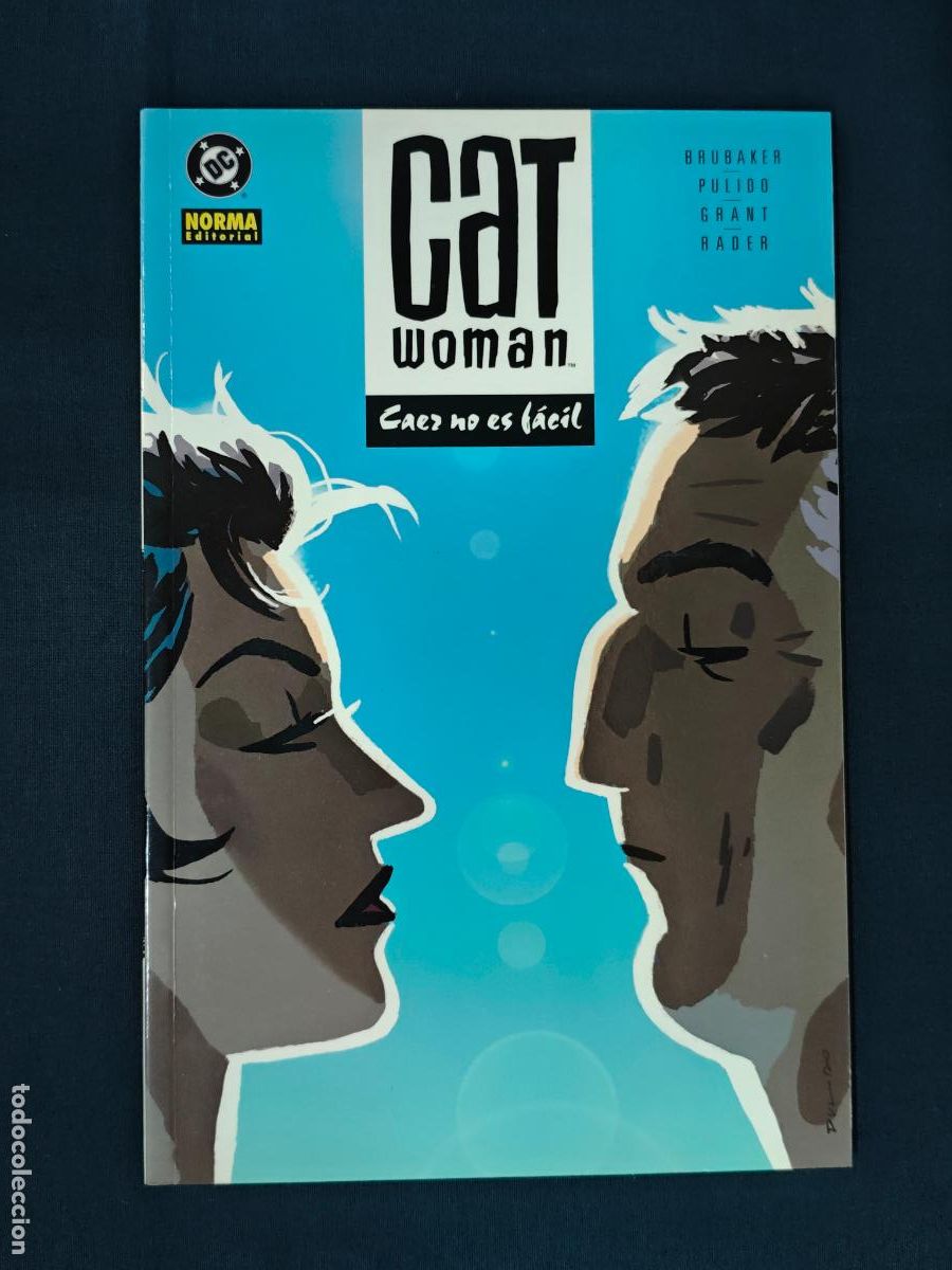 Comics : CATWOMAN - CAER NO ES FACIL - NORMA -