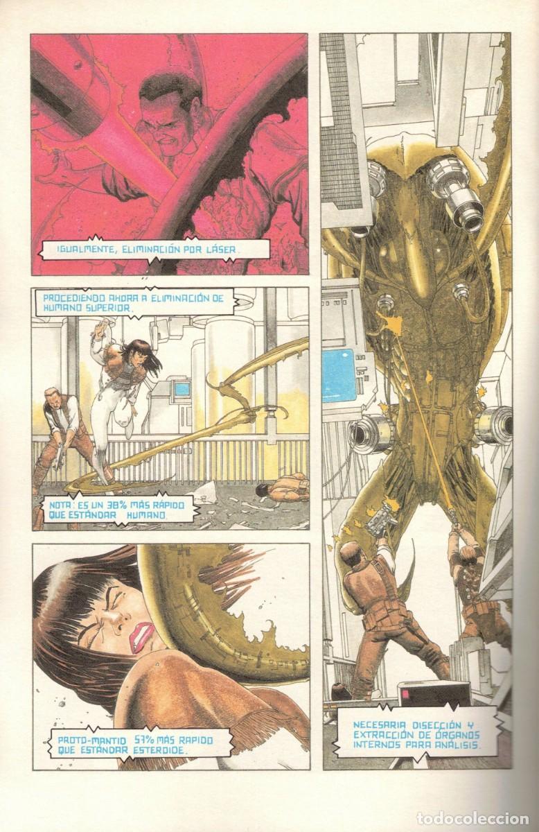 C&oacute;mics: Sex Warrior - Comic Books - R. Mentor - Foto 2