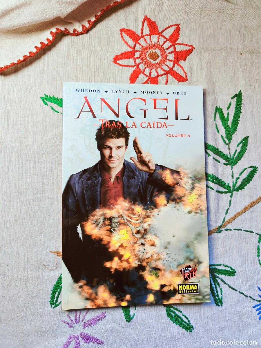 C&oacute;mics: Angel. Volumen 4 Tras La Ca&iacute;da. Whedon. Norma. Tapa blanda. Est&aacute; como nuevo.