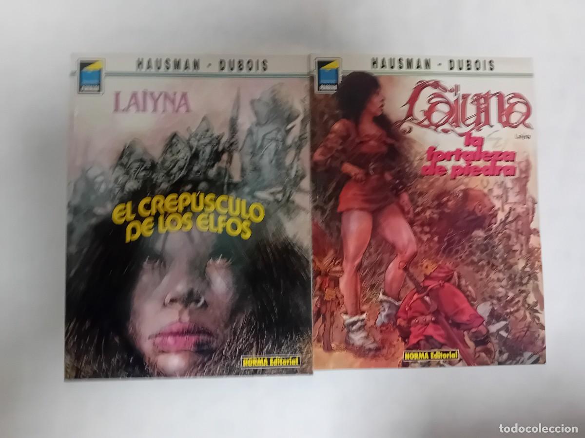 C&oacute;mics: LAIYNA EL CREPUSCULO DE LOS ELFOS Y LA FORTALEZA DE PIEDRA DE HAUSMAN Y DUBOIS DE NORMA EDITORIAL.