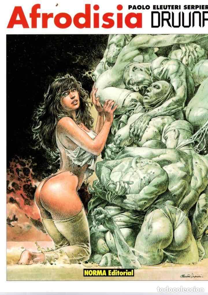 C&oacute;mics: DRUUNA 6 AFRODISIA. PAOLO ELEUTERI SERPIERI. NORMA 1998, 1&ordf; EDICION