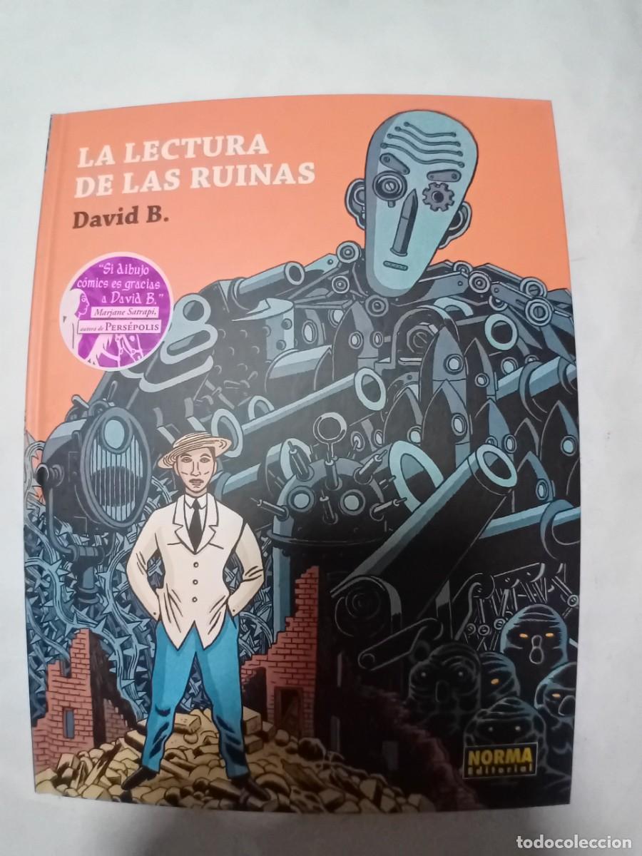 C&oacute;mics: LA LECTURA DE LAS RUINAS DE DAVID B. DE NORMA EDITORIAL.