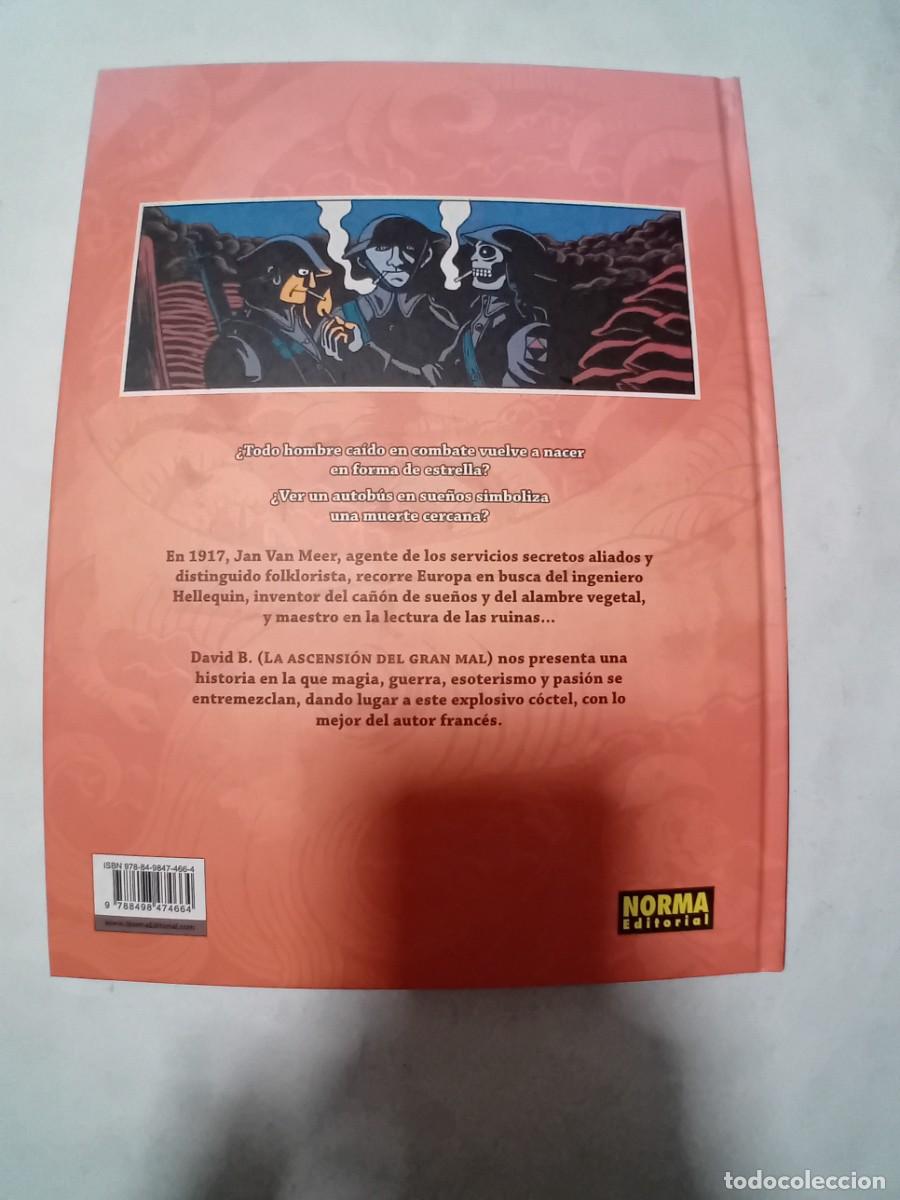 C&oacute;mics: LA LECTURA DE LAS RUINAS DE DAVID B. DE NORMA EDITORIAL. - Foto 2