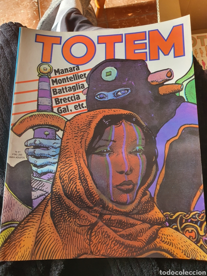 C&oacute;mics: TOTEM N&Uacute;MERO 41 - Foto 1