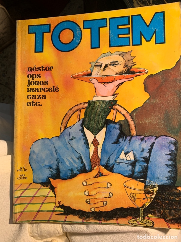 C&oacute;mics: Totem n 12 comic coleccion - Foto 1