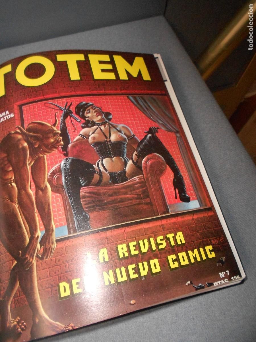 C&oacute;mics: TOTEM. NUEVA FRONTERA - Foto 1