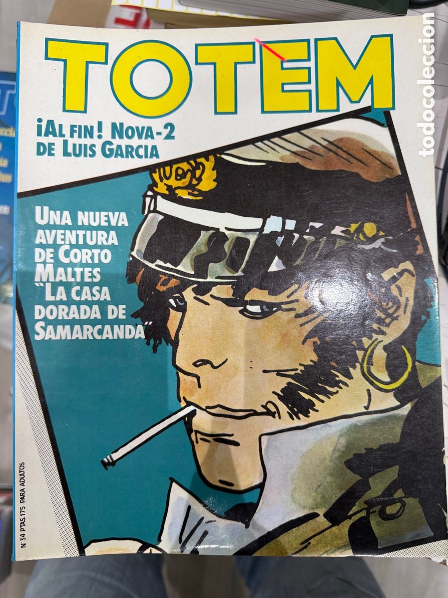 C&oacute;mics: Totem - &iexcl;Al Fin! Nova - 2 de Luis Garc&iacute;a