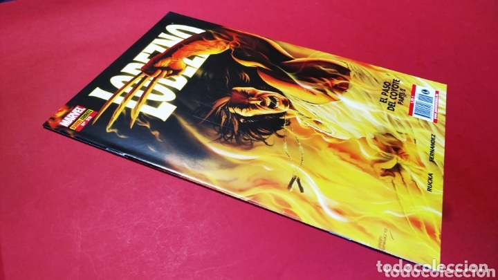 C&oacute;mics: DE KIOSCO LOBEZNO 25 PANINI COMICS - Foto 1