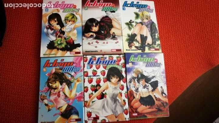 C&oacute;mics: COLECCION 1-6 ICHIGO 100% PANINI - Foto 1