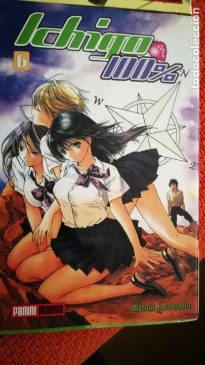 C&oacute;mics: COLECCION 1-6 ICHIGO 100% PANINI - Foto 8