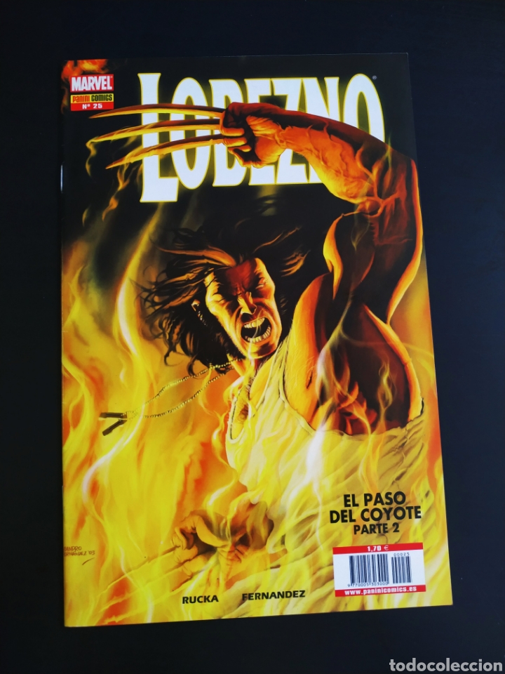 C&oacute;mics: DE KIOSCO LOBEZNO 25 PANINI COMICS - Foto 1
