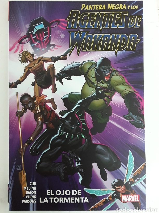 C&oacute;mics: Pantera negra y los agentes de Wakanda. El ojo de la tormenta - Panini / Marvel - Foto 1