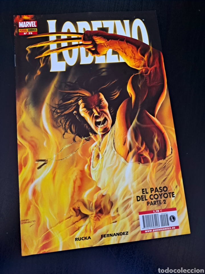 C&oacute;mics: DE KIOSCO LOBEZNO 25 PANINI COMICS - Foto 1