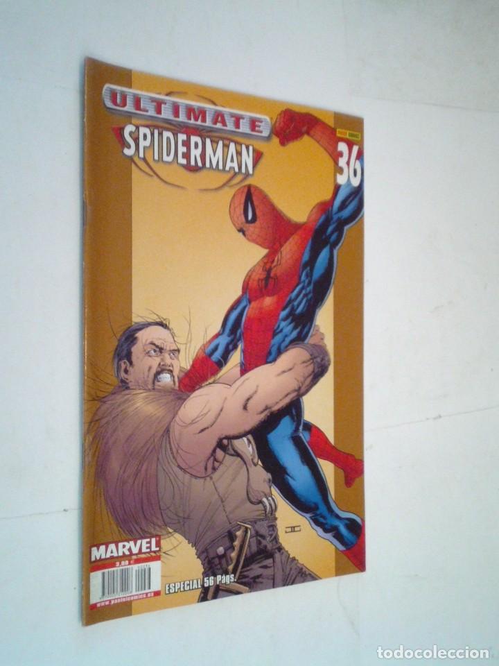 C&oacute;mics: ULTIMATE SPIDERMAN - NUMERO 36 - BUEN ESTADO - PANINI - CJ 124 - GORBAUD - Foto 1