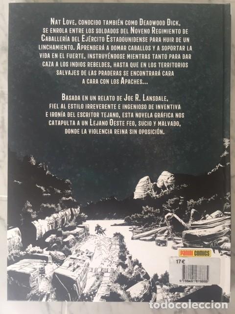 C&oacute;mics: DAEDWOOD DICK - Negro como la noche, rojo como la sangre - Panini Comics 2019 - Foto 2