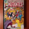 Lote 323615808: OMNIGOLD Los Nuevos Mutantes 3 La masacre mutante MARVEL GOLD Panini Cómics